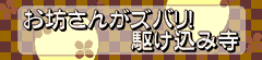 お坊さんバラエティー! 芸能人駆けこみ寺